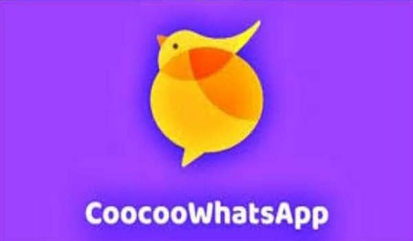 Apa Itu CooCoo WhatsApp (WA) Mod Apk Versi Terbaru 5.1.1