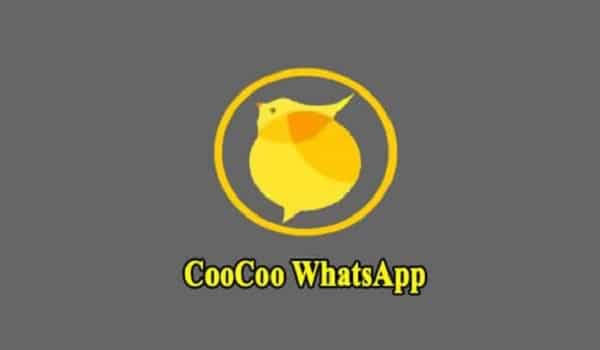 coocoo-whatsapp